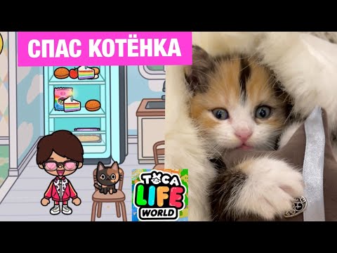 Видео: Кот СПАС Маленького КОТЁНКА с УЛИЦЫ и ПОСТРОИЛ ЕМУ НОВЫЙ ТОКА-ДОМ 😿🏡💕 Toca Life World