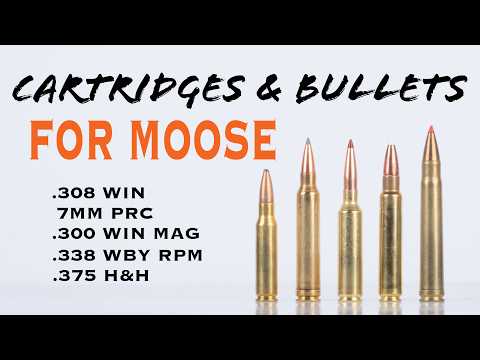 Видео: 5 лучших патронов и пуль для лося