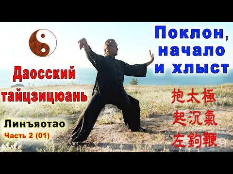 Видео: Тайцзи Ветер-Гром. 2 часть Линъяотао. Формы Баотайцзи (抱太極), Цичэньци (起沉氣) и Цзогоубянь (左鉤鞭)