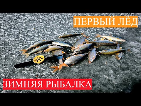 Видео: ПЕРВЫЙ ЛЁД! ЛОВЛЯ ПЛОТВЫЙ НА МОРМЫШКУ. ЖОР ОКУНЯ НА МОТЫЛЬ. ЗИМНЯЯ РЫБАЛКА.