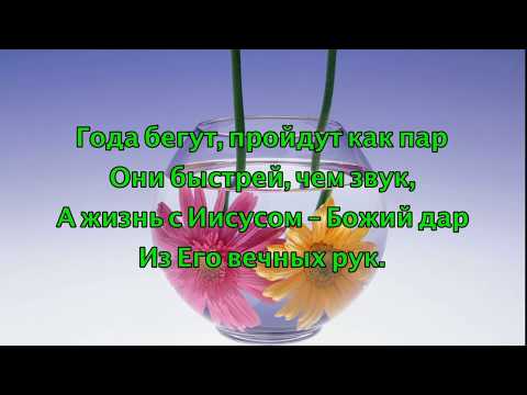 Видео: У брата день рождения. Елена Ваймер