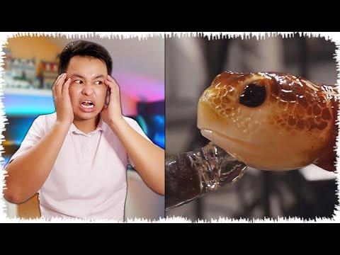 Видео: Фууй неге көрдім мынаны? | Челлендж