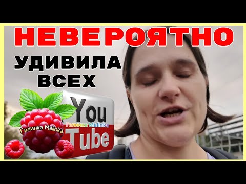 Видео: Бровченко /Невероятно /Удивила всех /Обзор /Семья Бровченко /Колесниковы /Деревенский дневник 