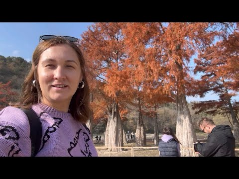 Видео: Съездили на кипарисы🌳/ В веревочном парке🪢