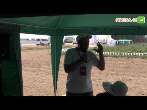 Видео: Система защиты лука BASF