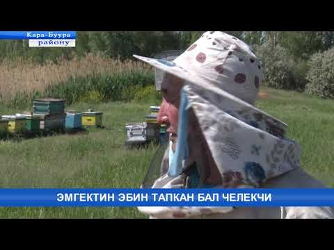 Видео: Эмгектин эбин тапкан бал челекчи