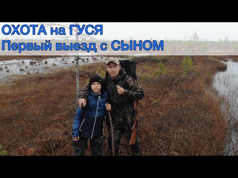 Видео: ОХОТА на гуся осень 2021. Первый выезд с СЫНОМ