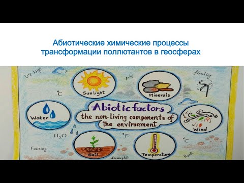 Видео: Абиотические химические процессы в геосферах. Аналитический контроль объектов окружающей среды.