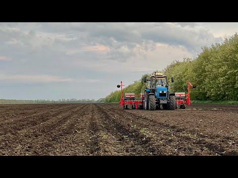 Видео: Посевная на Кубани. Сеем подсолнечник по автопилоту AllyNav. Инспектируем всходы и качество сева.