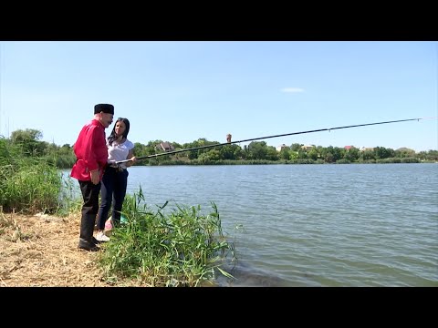 Видео: «Культурная навигация». Переясловская