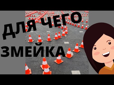 Видео: Змейка задом