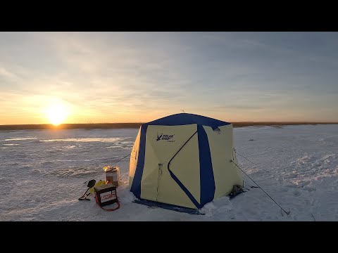 Видео: ПОПАЛИ НА КЛЁВ! ДАВНО МЫ С ОТЦОМ ТАК НЕ РЫБАЧИЛИ! ДВОЕ СУТОК НА ЛЬДУ. ОЗЕРО ЧАНЫ РАДУЕТ УЛОВОМ!