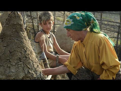 Видео: Медовая страна | Основные моменты | iwonder.com