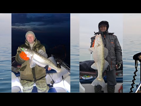 Видео: Рыбалка на спиннинг зимой на Капчагайском водохранилище! 06.01.2024