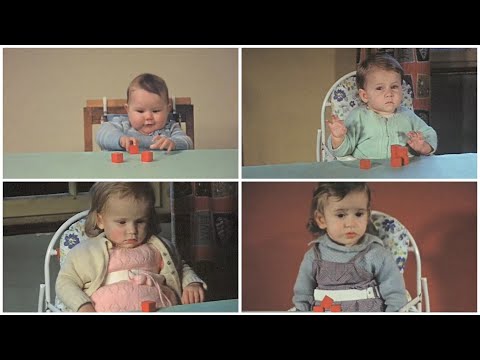 Видео: Влияние эмоционального пренебрежения и депривации на младенцев, 1965. субтитры на русском