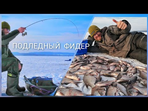 Видео: подЛЁДный ФИДЕР / поПЫТКИ ЛОВли на Реке и Озере / Зимняя РЫБАлка 2021