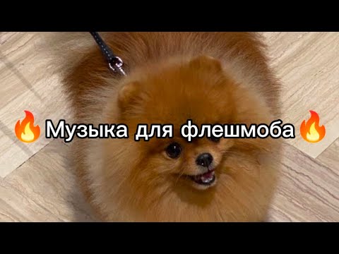 Видео: 🔥Музыка для флешмоба🔥