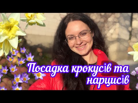 Видео: Посадка крокусів та нарцисів.Як садити крокуси та нарциси?4 листопада 2024