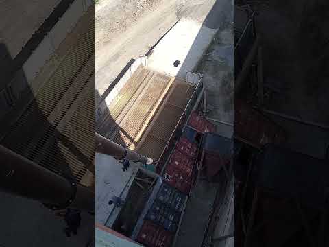 Видео: Запустили завод по производству комбикорма 