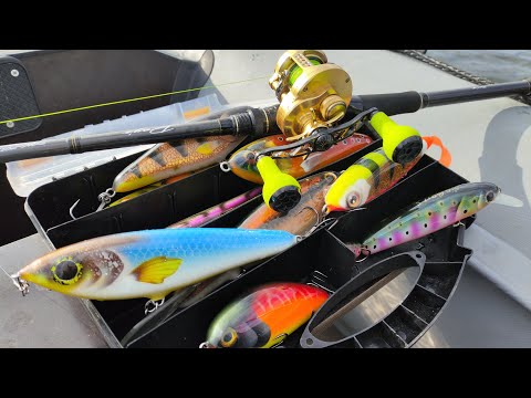 Видео: Октябрь. Джерки. День "шнурка".