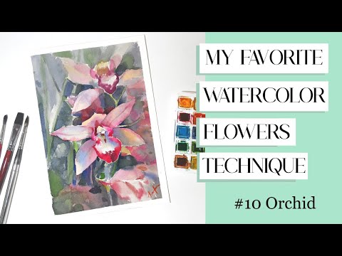 Видео: Моя любимая техника акварели. Цветы. — № 10 Орхидея.