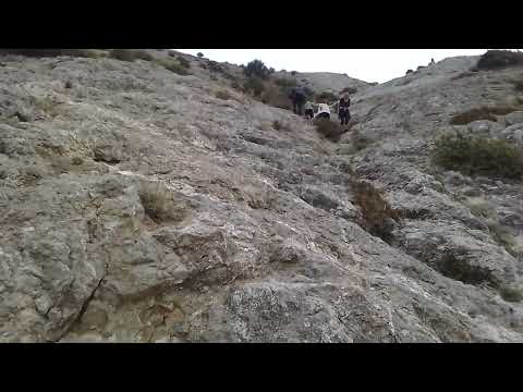 Видео: 29 сентября 2025 г.