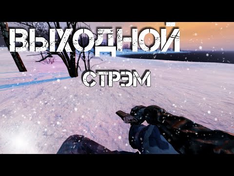 Видео: Dayz Неудержимые - Выходной стрэм