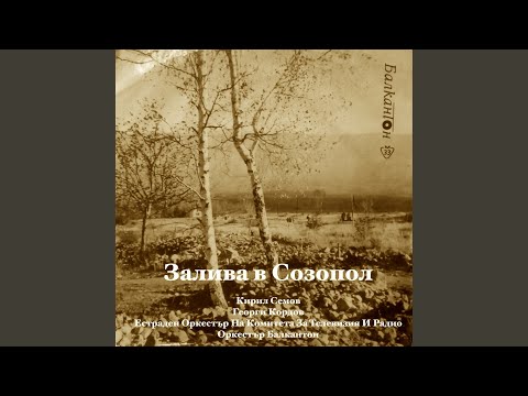 Видео: Звезди