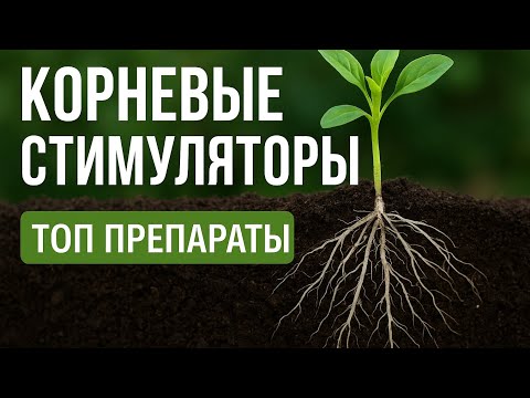 Видео: Корневые стимуляторы для овощей 🌱 Что выбрать? Гуматы, Радифарм, Энрайвел, Овсинский #землядел