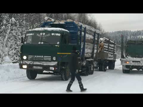 Видео: Камаз лесовоз не вышел в гору...Гололёд