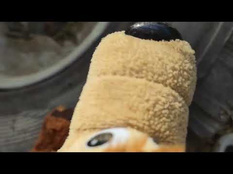 Видео: Скибиди игрушки 4