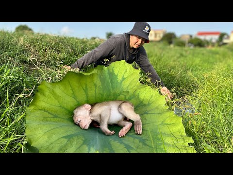 Видео: Что особенного в жизни обезьянок Каки и Люси сегодня?