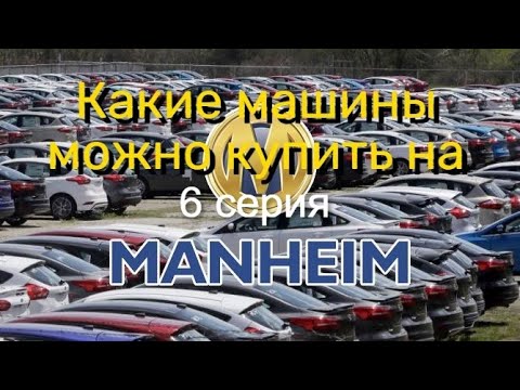 Видео: Цены на машины в США. Аукцион Manheim (6 серия)