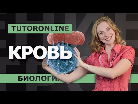 Видео: КРОВЬ. ЕГЭ по биологии | TutorOnline | Биология