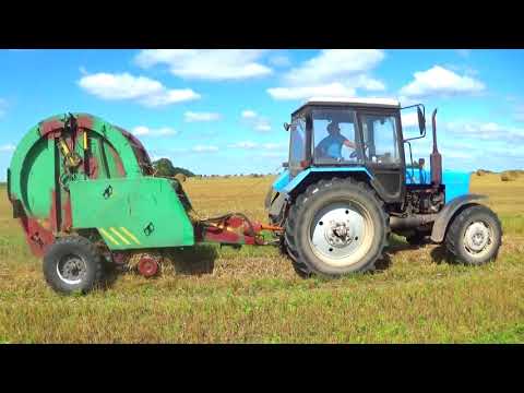 Видео: Прессование,сбор и транспортировка соломы с полей СПК "Гигант"