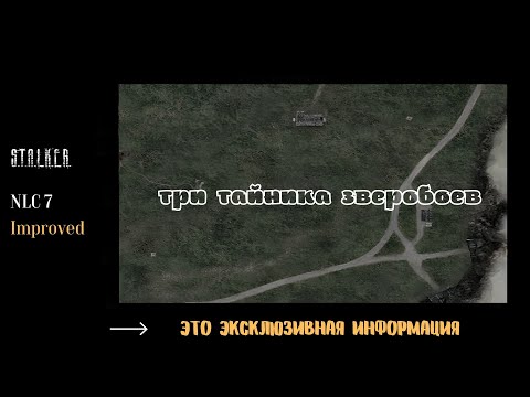 Видео: stalker NLC 7 Improved три тайника зверобоев