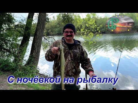 Видео: Поймал угря на 81 см