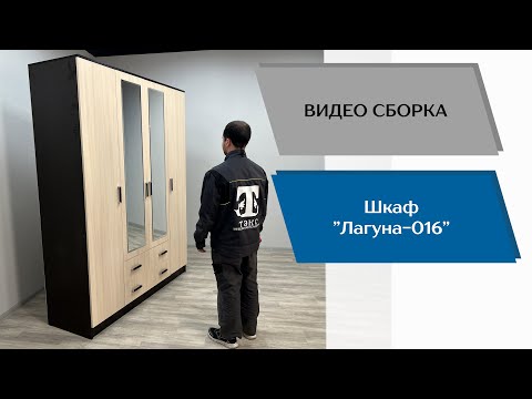 Видео: Распашной шкаф Лагуна-016