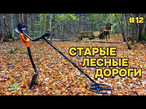 Видео: В ПОИСКЕ СТАРЫХ лесных ДОРОГ. Костер в сыром лесу. ЗАБЛУДИЛСЯ #12
