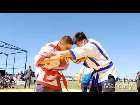 Видео: Қазақ КҮРЕСІ, түйе ПАЛУАН!  Малайсары ауылының азаматы Бейбіт Қожановтың 55 жас мерей тойы. #палуан