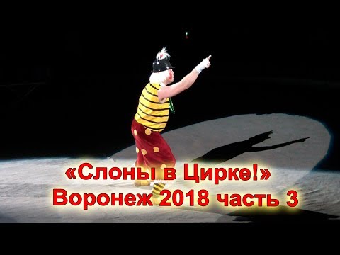 Видео: «Слоны в Цирке!» Воронеж 2018 часть 3