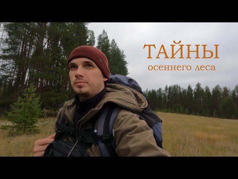 Видео: Заброшенная деревня | Звероферма | Каменная голова | Смоляная печь  - "ТАЙНЫ ОСЕННЕГО ЛЕСА"