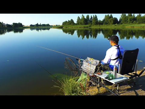 Видео: КАРП, КАРАСЬ, ЛЕЩ, ПЛОТВА- КРУТОЙ КЛЕВ НА МАХОВУЮ ПОПЛАВОЧНУЮ УДОЧКУ! ОТОРВАЛСЯ ПО ПОЛНОЙ В ЖАРУ.