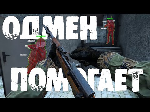 Видео: ОДМЕН ПОМОГАЕТ | DAYZ 1PP (4K)