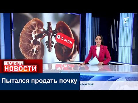 Видео: Казахстанец попытался продать почку, и оказался на скамье подсудимых
