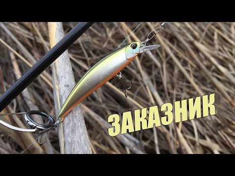 Видео: Рыбалка. Ловим радужную форель на воблер. Заказник Токомок.