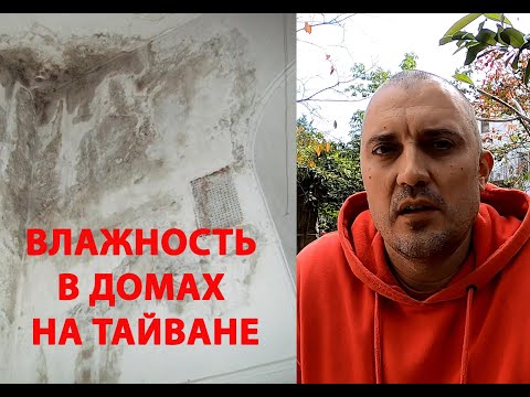 Видео: ВЛАЖНОСТЬ В ДОМАХ НА ТАЙВАНЕ
