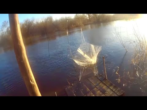 Видео: Деревенский мостик вновь меня не подвел... Рыбалка на паук-подъёмник за огородом.