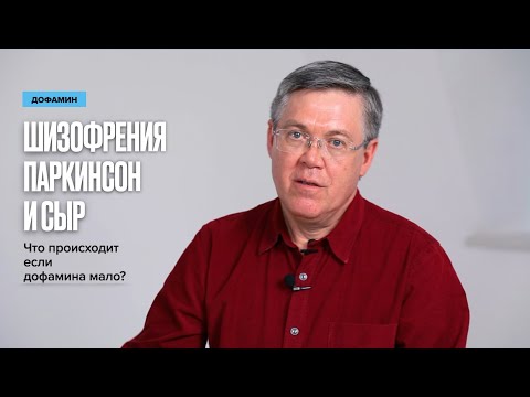 Видео: Дофамин, Паркинсон, Шизофрения и возбуждающий сыр!) Вячеслав Дубынин