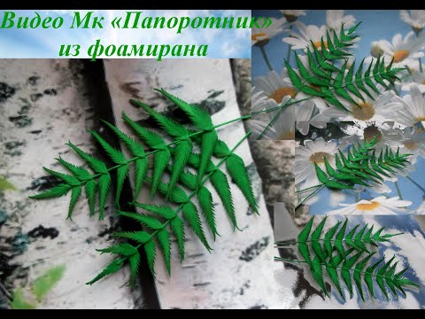 Видео: Папоротник из фоамирана Fern from foamiran